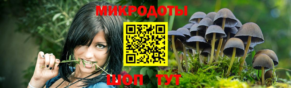 купить наркотик  Вход с VPN  Карталы  Галлюциногенные грибы Cubensis  Псилоцибиновые грибы мицелий 